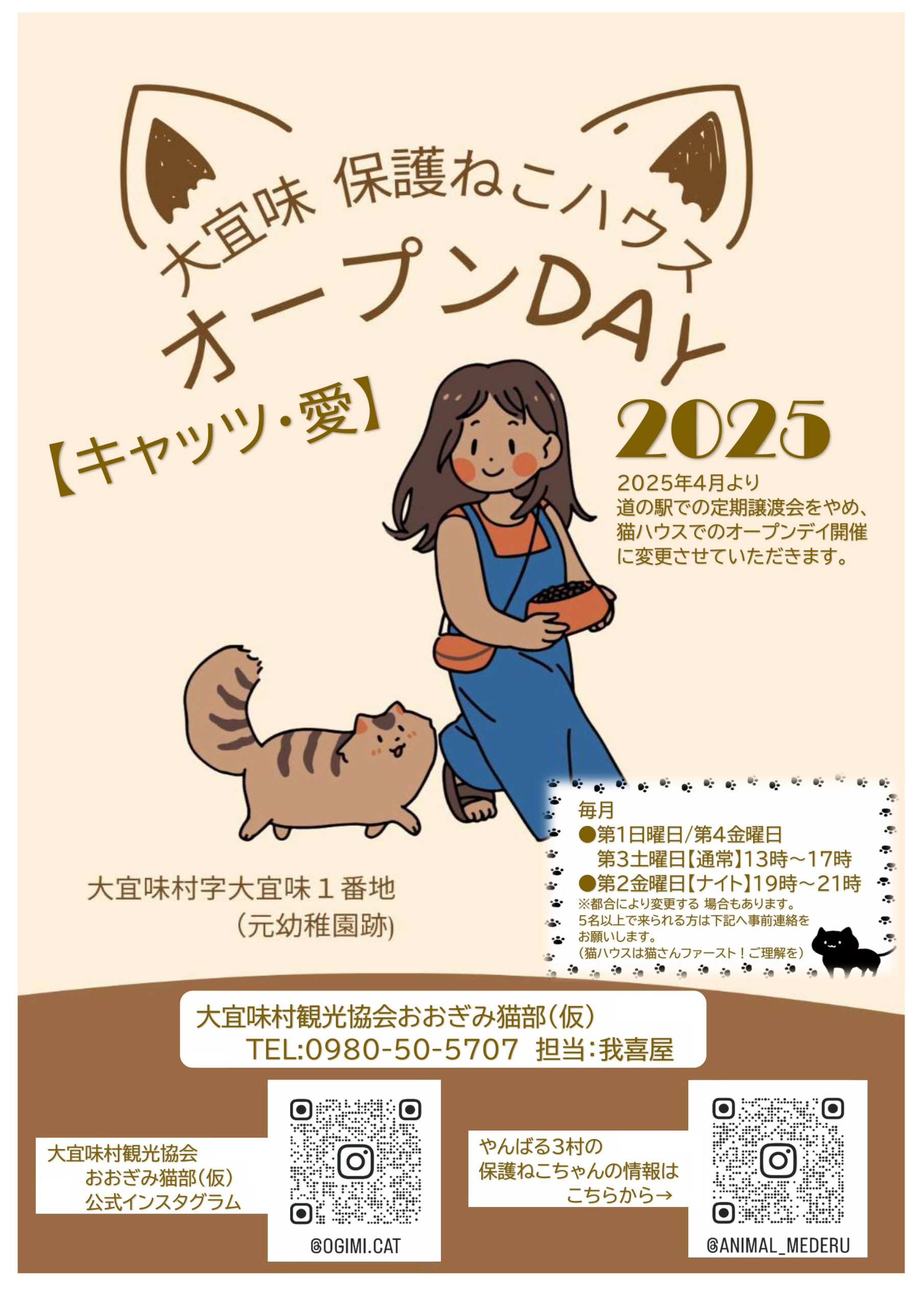 大宜味村○大宜味保護ねこハウスオープンデー｜南の島の北の方通信